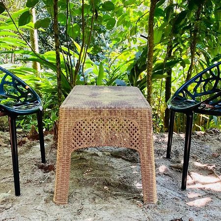 Misty Moon Home Stay Idukki Ngoại thất bức ảnh