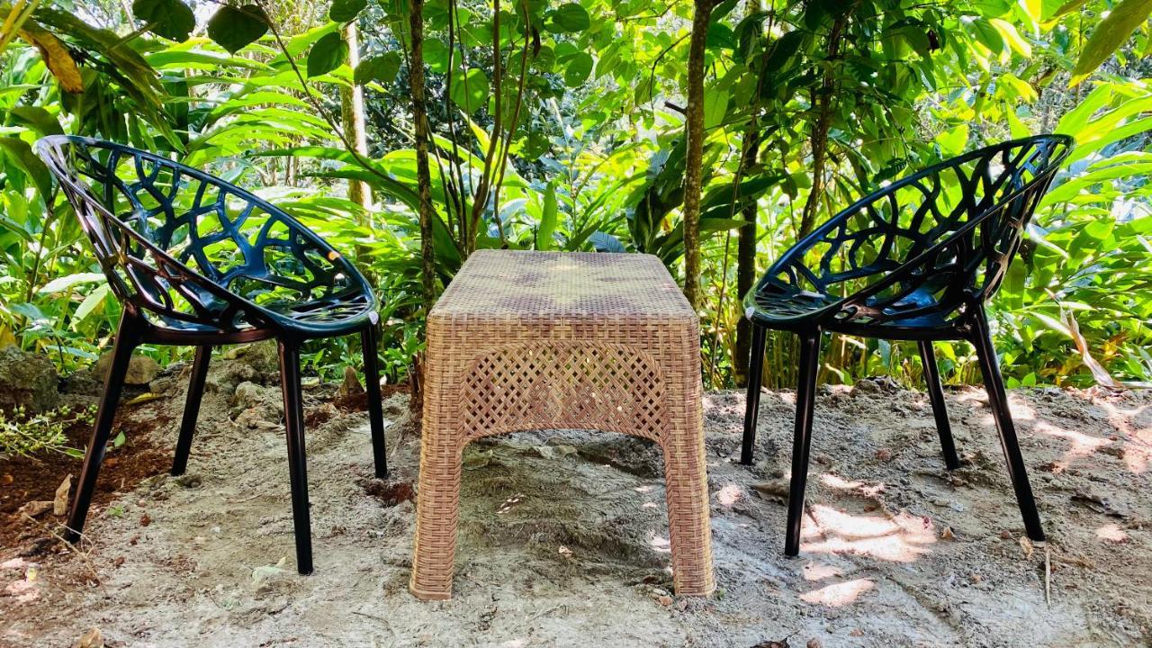 Misty Moon Home Stay Idukki Ngoại thất bức ảnh